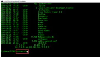 计算机信息统计与信息技术开发指南